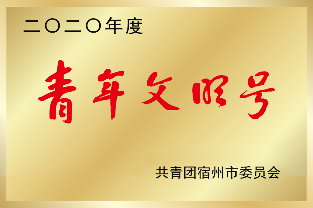 展示青年風采，踐行青春使命——宿州市瞪羚服務貿(mào)易產(chǎn)業(yè)園榮獲市級 “青年文明號”稱號(圖1)